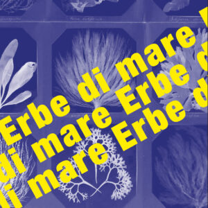 ERBE DI MARE